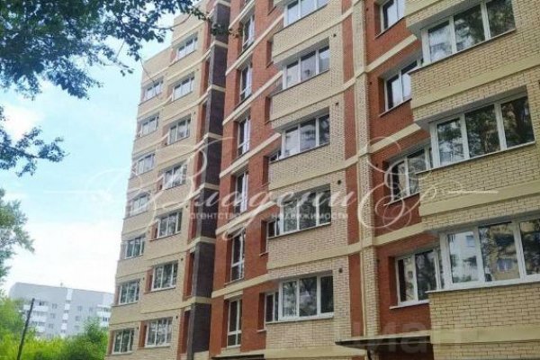 Рабочее зеркало на кракен